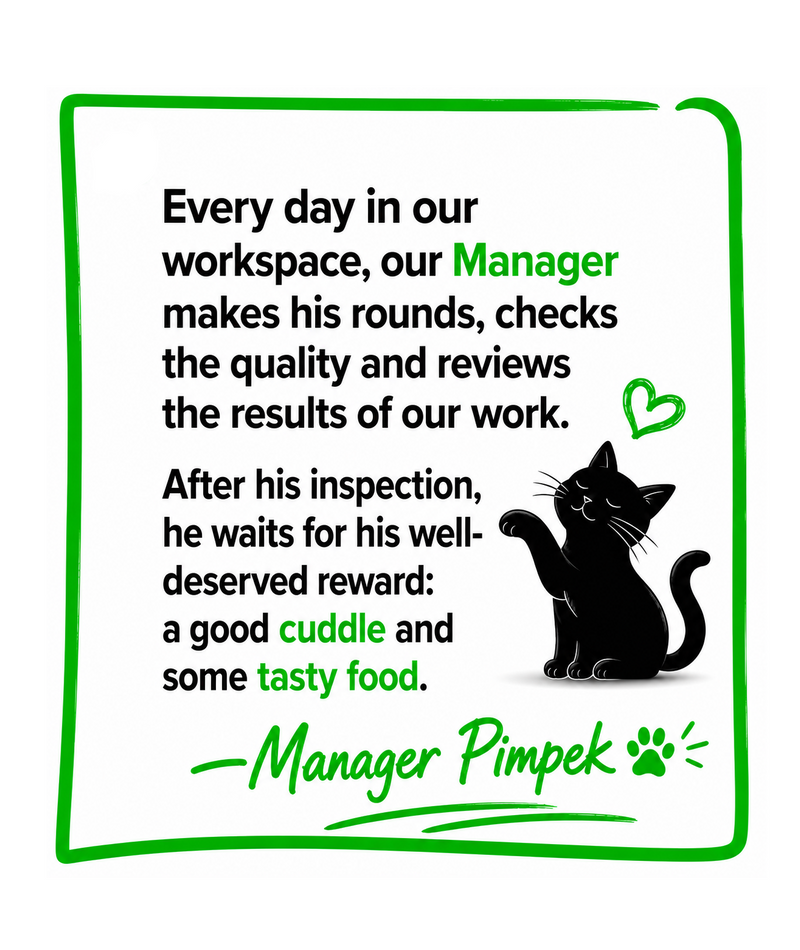 Cartoon cat with text about a manager's duties and rewards on a white background